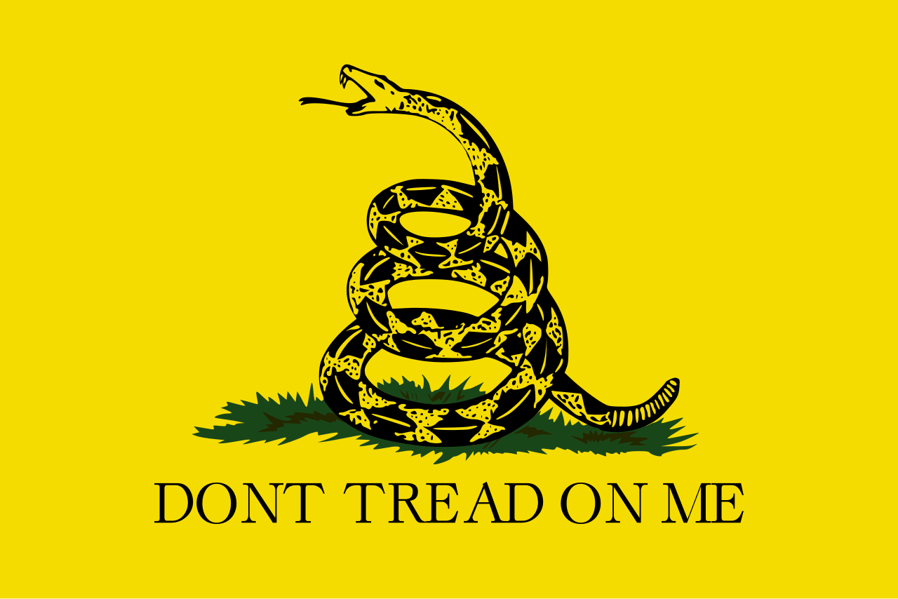 DON'T TREAD ON ME Gadsden flag